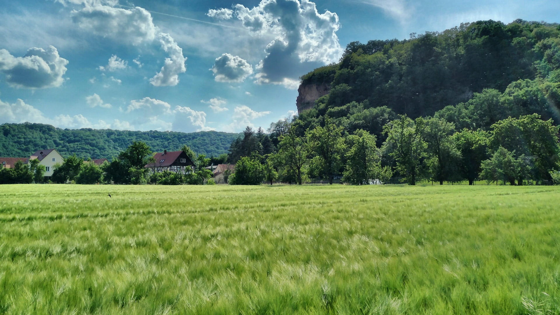 bester Immobilienmakler Coswig | Evelyn Scholz Immobilien
